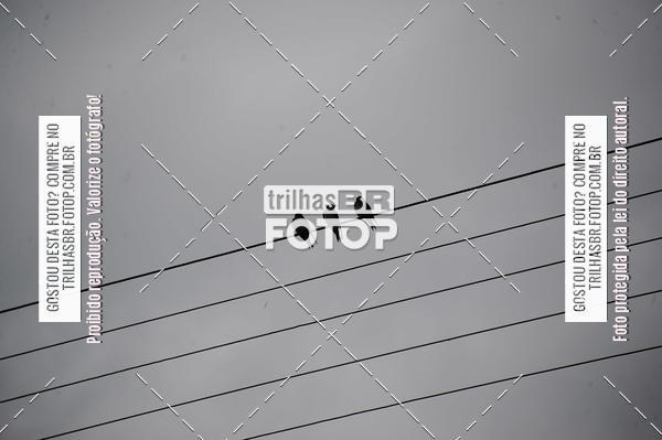 Buy your photos of the eventPRE JASC - CICLISMO ETAPA TIMB on Fotop