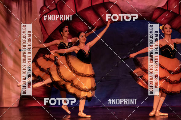 Compre as suas fotos do eventoFestival de Dan�a de Franca - Apresenta��o Dom Quixote no Fotop