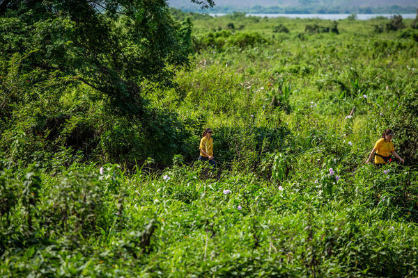 Buy your photos of the eventBota Pra Correr Pantanal on Fotop