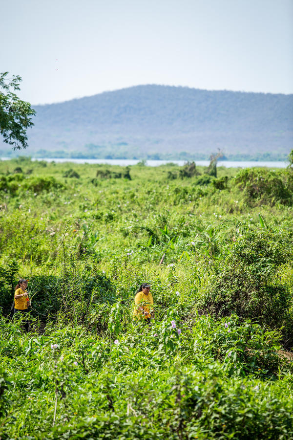 Buy your photos of the eventBota Pra Correr Pantanal on Fotop
