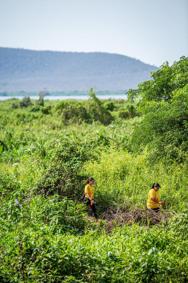Buy your photos of the eventBota Pra Correr Pantanal on Fotop