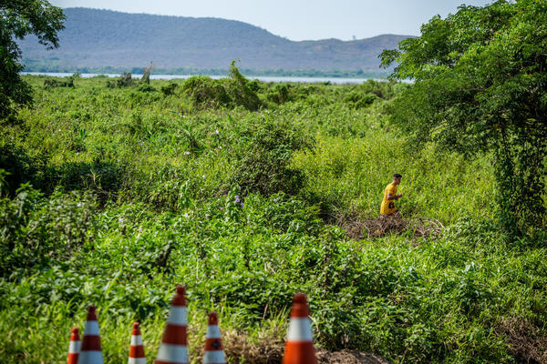 Buy your photos of the eventBota Pra Correr Pantanal on Fotop