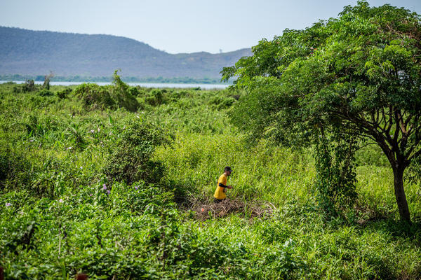 Buy your photos of the eventBota Pra Correr Pantanal on Fotop