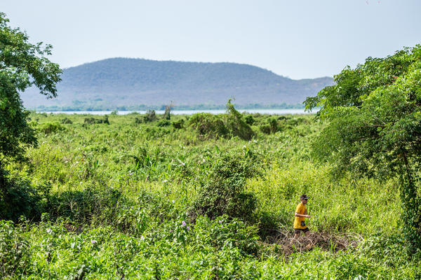Buy your photos of the eventBota Pra Correr Pantanal on Fotop