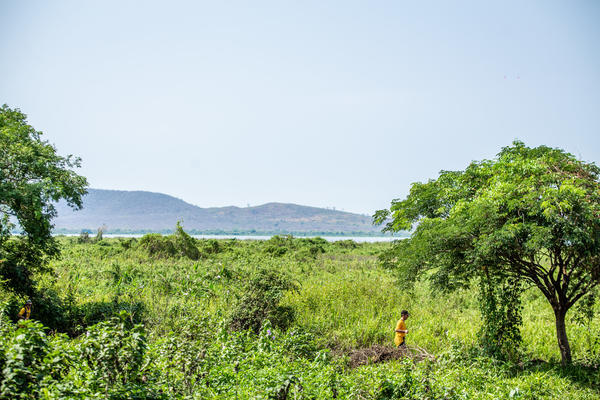 Buy your photos of the eventBota Pra Correr Pantanal on Fotop