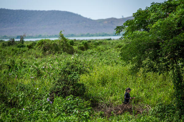 Buy your photos of the eventBota Pra Correr Pantanal on Fotop