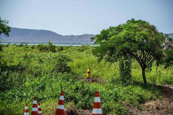 Buy your photos of the eventBota Pra Correr Pantanal on Fotop