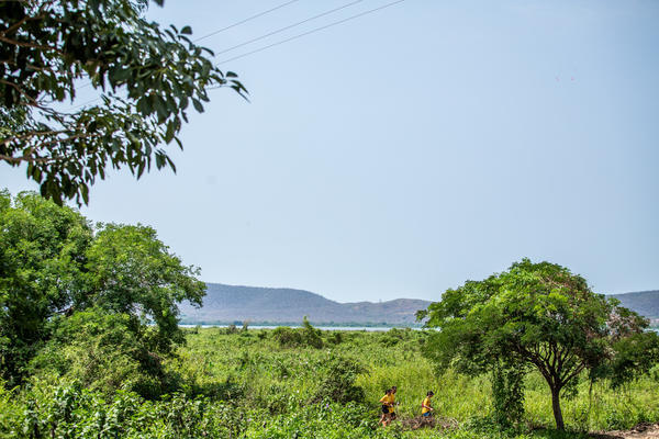 Buy your photos of the eventBota Pra Correr Pantanal on Fotop