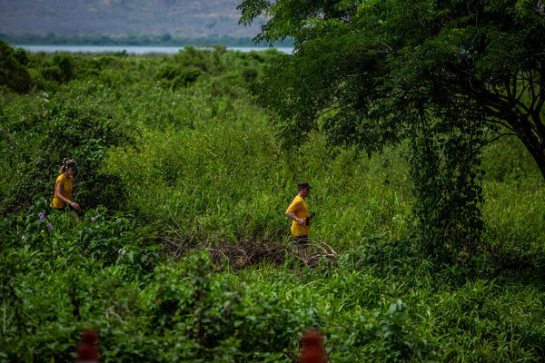 Buy your photos of the eventBota Pra Correr Pantanal on Fotop