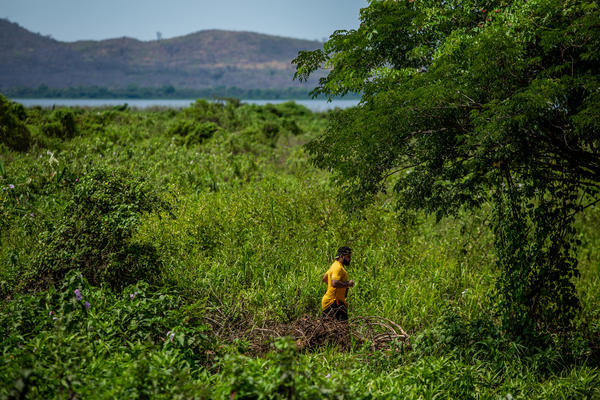Buy your photos of the eventBota Pra Correr Pantanal on Fotop