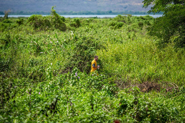 Buy your photos of the eventBota Pra Correr Pantanal on Fotop