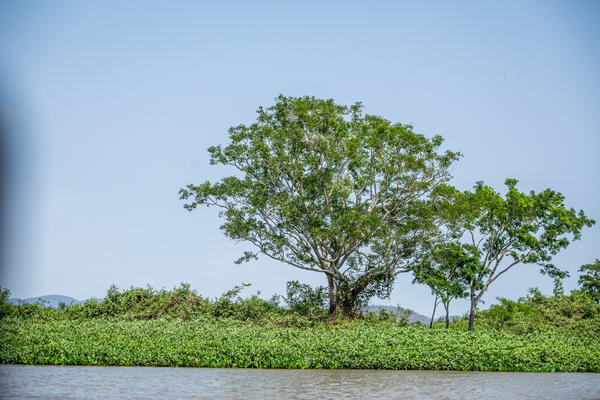 Buy your photos of the eventBota Pra Correr Pantanal on Fotop