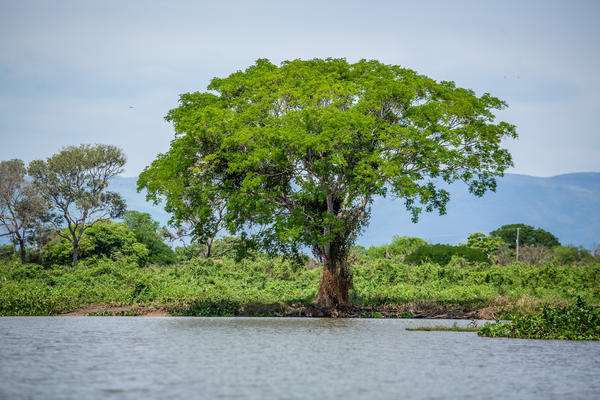 Buy your photos of the eventBota Pra Correr Pantanal on Fotop