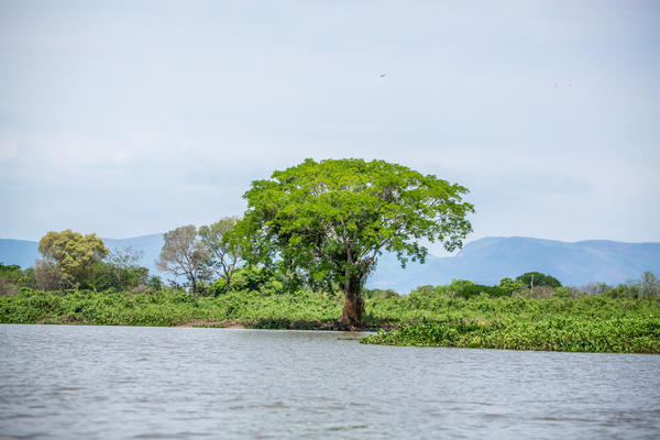 Buy your photos of the eventBota Pra Correr Pantanal on Fotop