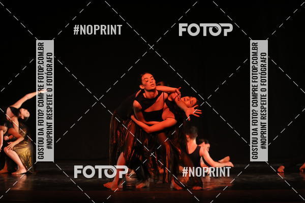 Buy your photos of the eventFestival de Dan�a de Franca (domingo) on Fotop