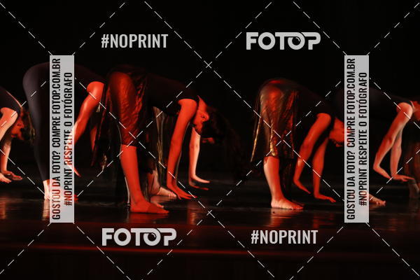 Buy your photos of the eventFestival de Dan�a de Franca (domingo) on Fotop