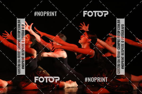 Buy your photos of the eventFestival de Dan�a de Franca (domingo) on Fotop