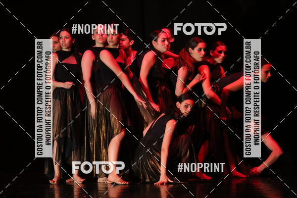 Buy your photos of the eventFestival de Dan�a de Franca (domingo) on Fotop