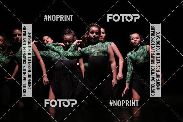 Buy your photos of the eventFestival de Dan�a de Franca (domingo) on Fotop