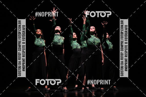 Buy your photos of the eventFestival de Dan�a de Franca (domingo) on Fotop