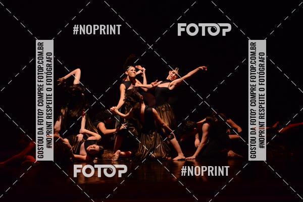 Buy your photos of the eventFestival de Dan�a de Franca (domingo) on Fotop