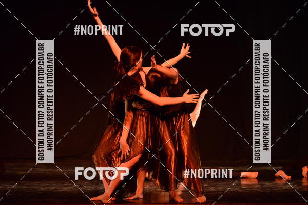 Buy your photos of the eventFestival de Dan�a de Franca (domingo) on Fotop