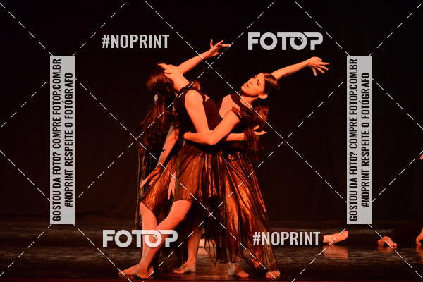 Buy your photos of the eventFestival de Dan�a de Franca (domingo) on Fotop