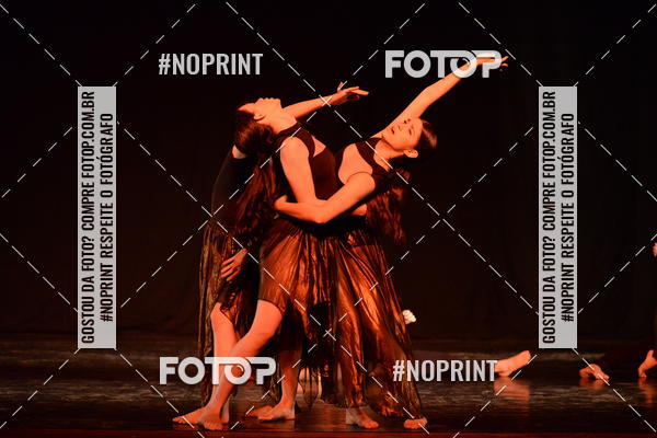 Buy your photos of the eventFestival de Dan�a de Franca (domingo) on Fotop