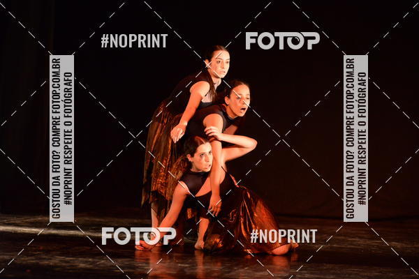 Buy your photos of the eventFestival de Dan�a de Franca (domingo) on Fotop