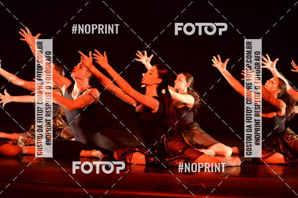 Buy your photos of the eventFestival de Dan�a de Franca (domingo) on Fotop