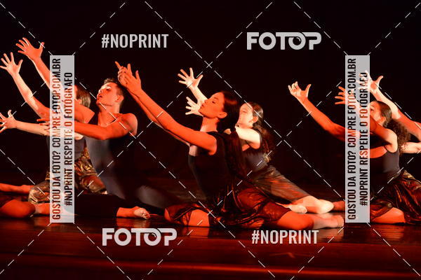 Buy your photos of the eventFestival de Dan�a de Franca (domingo) on Fotop