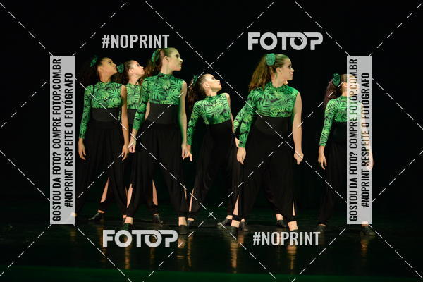 Buy your photos of the eventFestival de Dan�a de Franca (domingo) on Fotop