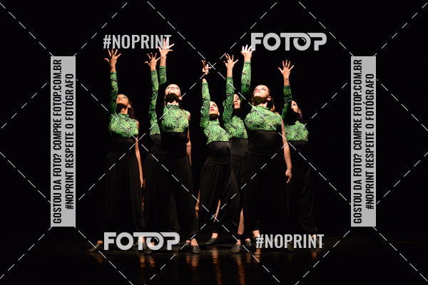 Buy your photos of the eventFestival de Dan�a de Franca (domingo) on Fotop