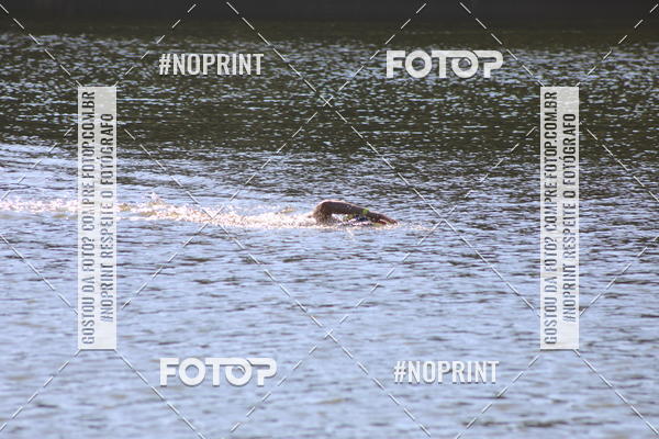 Acquista le foto dell'eventoREVEZAMENTO 10K DE NATA��O JULIO VICU�A in Fotop