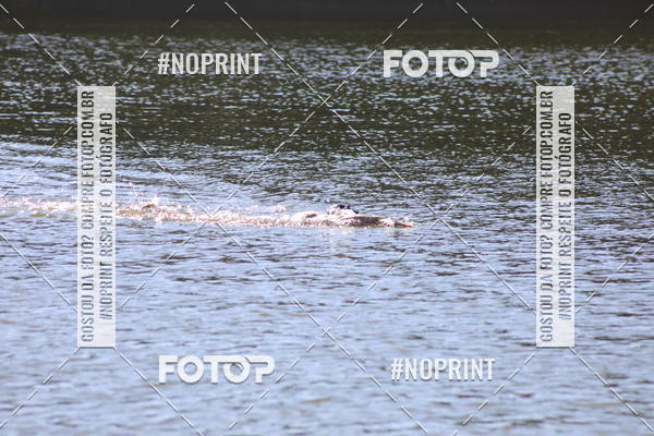 Acquista le foto dell'eventoREVEZAMENTO 10K DE NATA��O JULIO VICU�A in Fotop