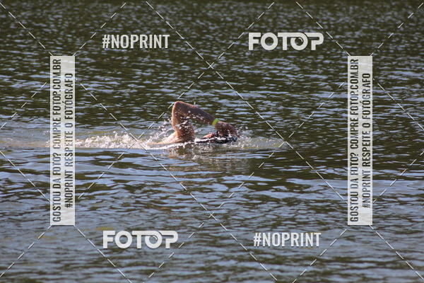 Acquista le foto dell'eventoREVEZAMENTO 10K DE NATA��O JULIO VICU�A in Fotop