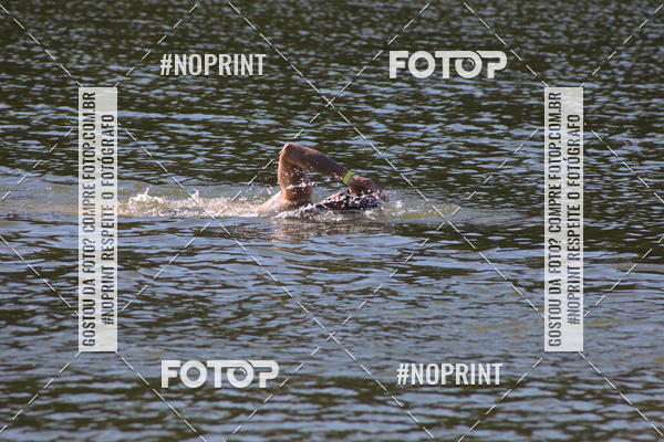 Acquista le foto dell'eventoREVEZAMENTO 10K DE NATA��O JULIO VICU�A in Fotop