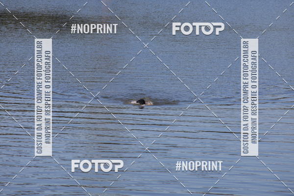 Acquista le foto dell'eventoREVEZAMENTO 10K DE NATA��O JULIO VICU�A in Fotop