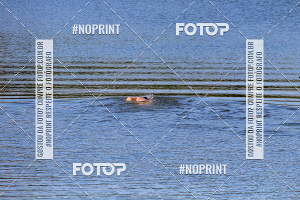 Compra tus fotos del eventoREVEZAMENTO 10K DE NATA��O JULIO VICU�A En Fotop