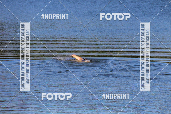 Compra tus fotos del eventoREVEZAMENTO 10K DE NATA��O JULIO VICU�A En Fotop