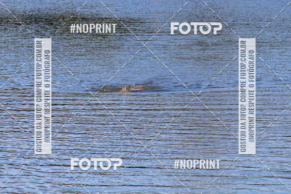 Compra tus fotos del eventoREVEZAMENTO 10K DE NATA��O JULIO VICU�A En Fotop