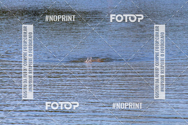 Compra tus fotos del eventoREVEZAMENTO 10K DE NATA��O JULIO VICU�A En Fotop