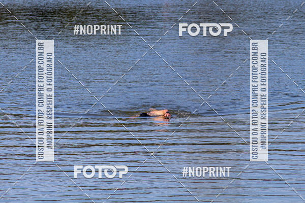 Buy your photos of the eventREVEZAMENTO 10K DE NATA��O JULIO VICU�A on Fotop