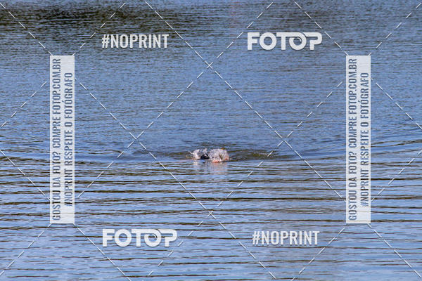 Buy your photos of the eventREVEZAMENTO 10K DE NATA��O JULIO VICU�A on Fotop