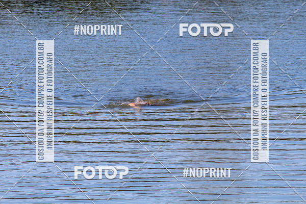 Buy your photos of the eventREVEZAMENTO 10K DE NATA��O JULIO VICU�A on Fotop