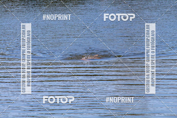 Buy your photos of the eventREVEZAMENTO 10K DE NATA��O JULIO VICU�A on Fotop