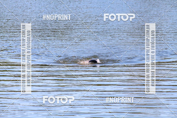 Buy your photos of the eventREVEZAMENTO 10K DE NATA��O JULIO VICU�A on Fotop