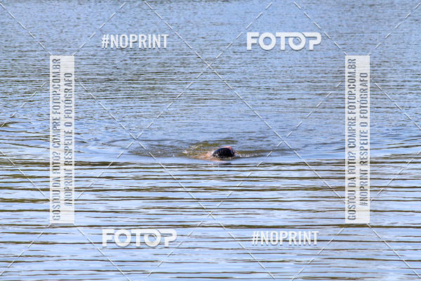 Buy your photos of the eventREVEZAMENTO 10K DE NATA��O JULIO VICU�A on Fotop