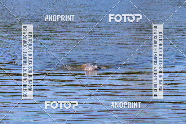 Buy your photos of the eventREVEZAMENTO 10K DE NATA��O JULIO VICU�A on Fotop