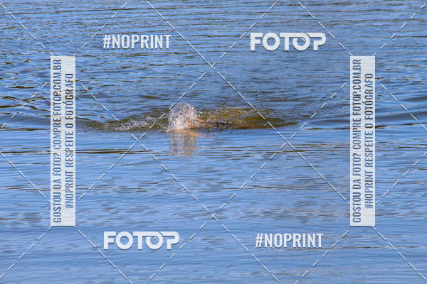 Buy your photos of the eventREVEZAMENTO 10K DE NATA��O JULIO VICU�A on Fotop